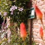Les Du Bed and Breakfast