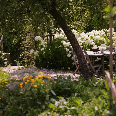 Les Du Sainte-Cécile