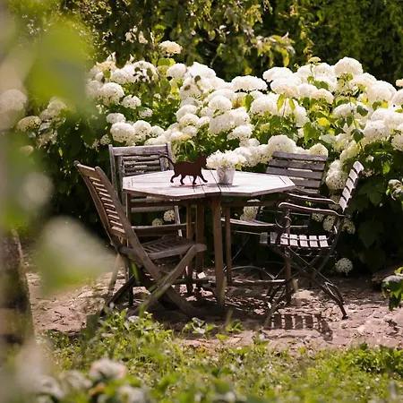 فندق مبيت وإفطار Les Du 3*