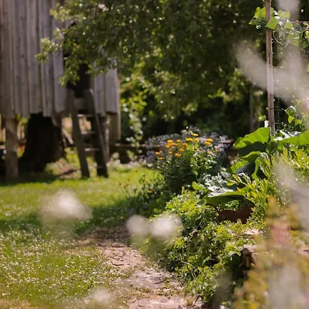 Les Du Couette-café Sainte-Cécile
